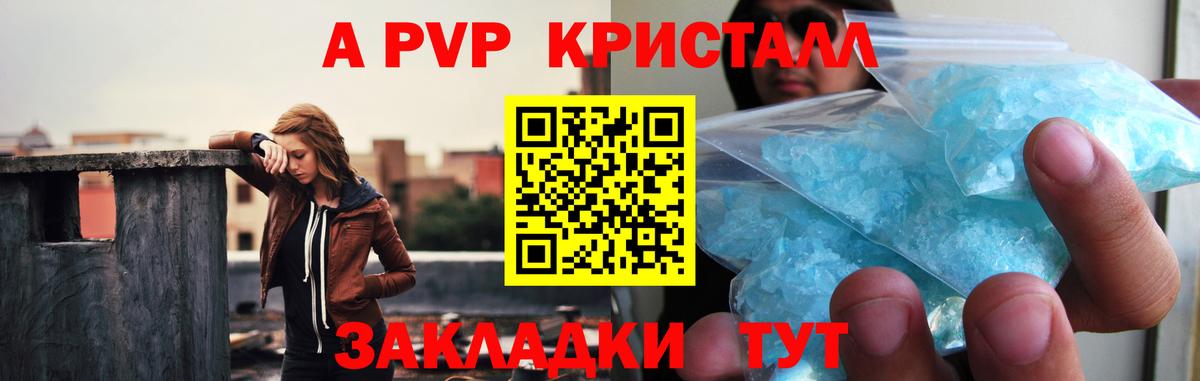 Альфа ПВП СК КРИС Светлоград