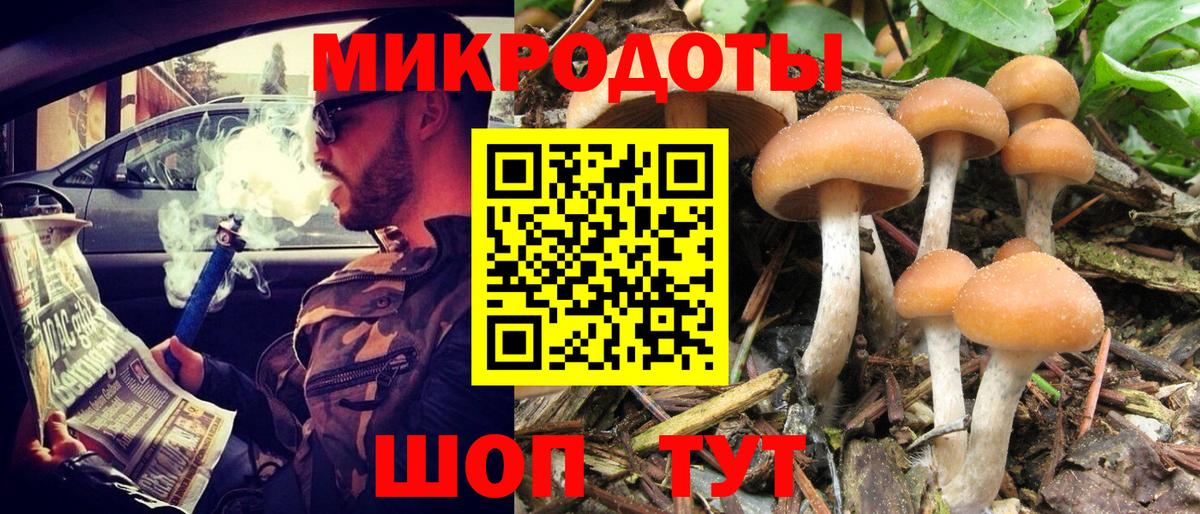 Галлюциногенные грибы MAGIC MUSHROOMS Светлоград