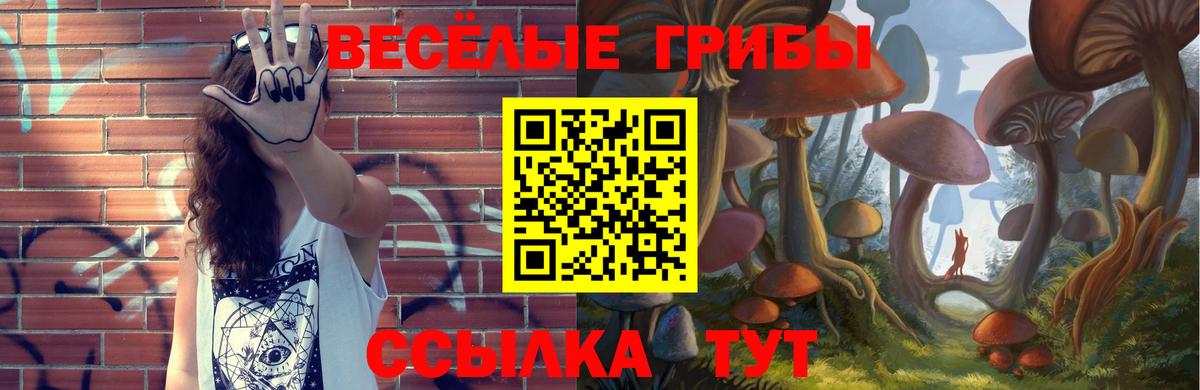 Светлоград  Псилоцибиновые грибы GOLDEN TEACHER  Вход с VPN 